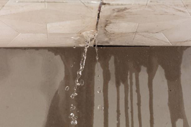 Professional Water Damage Repair technician working in Wimbledon, ND